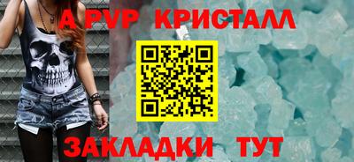 мет Кингисепп