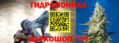 мет Кингисепп