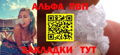 мет Кингисепп